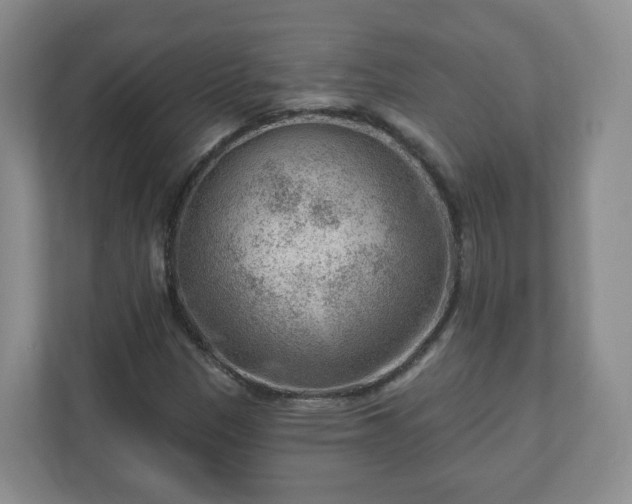 X0000111041305200907021550