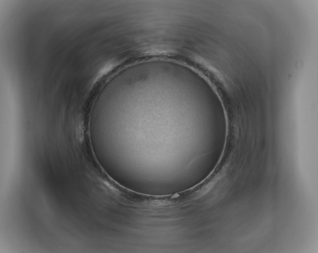 X0000111041306200907021550