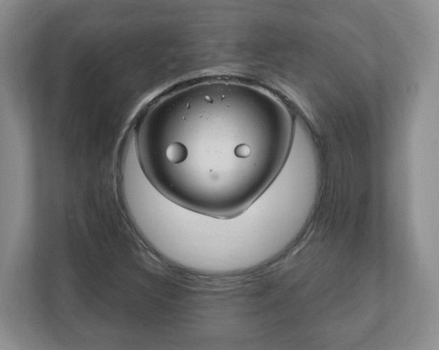 X0000111041308200907021550