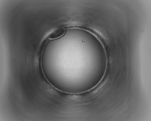 X0000111041309200907021550