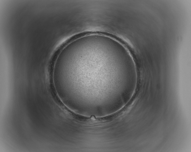 X0000111041311200907021550
