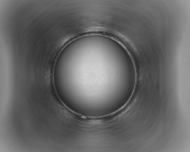 X0000111041313200907021550