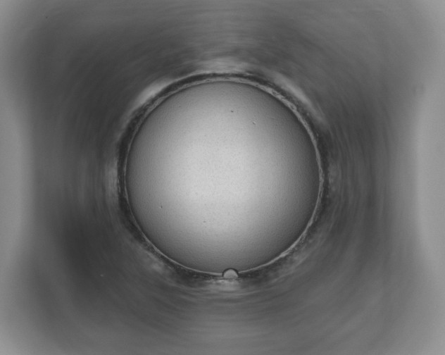 X0000111041315200907021550
