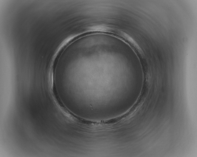 X0000111041323200907021550
