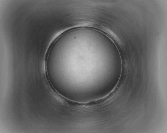 X0000111041324200907021550