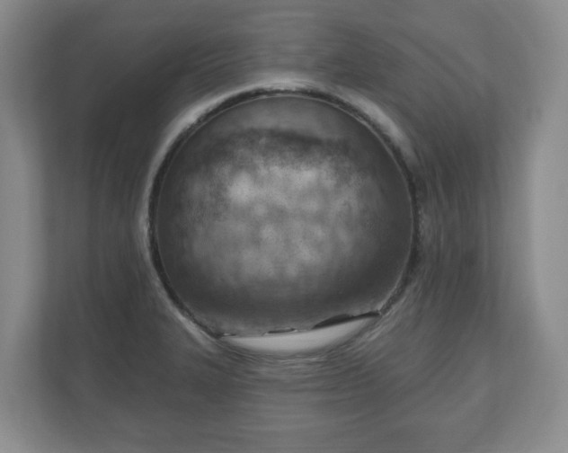 X0000111041327200907021550