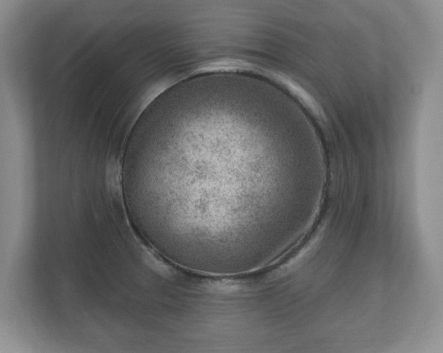 X0000111041329200907021550