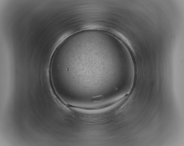 X0000111041330200907021550