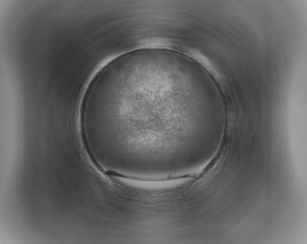 X0000111041331200907021550