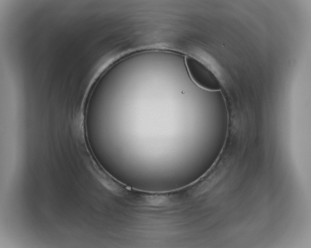 X0000111041332200907021550