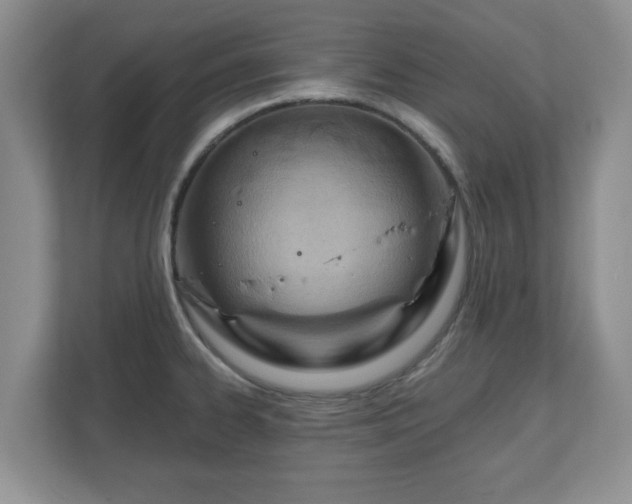 X0000111041334200907021550