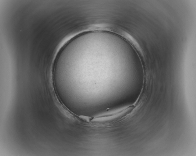 X0000111041336200907021550