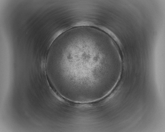 X0000111041337200907021550