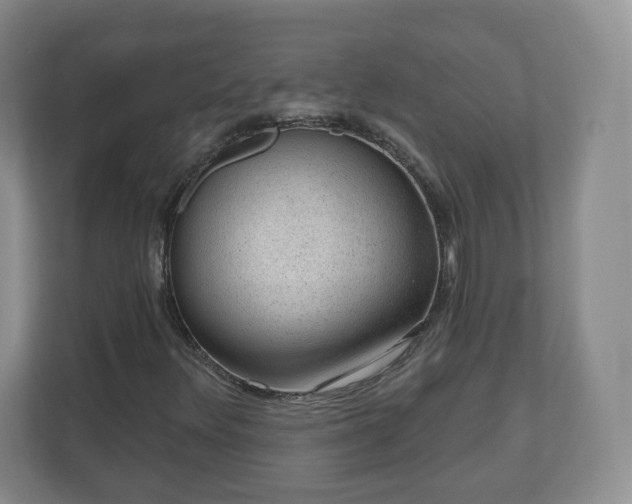 X0000111041348200907021550