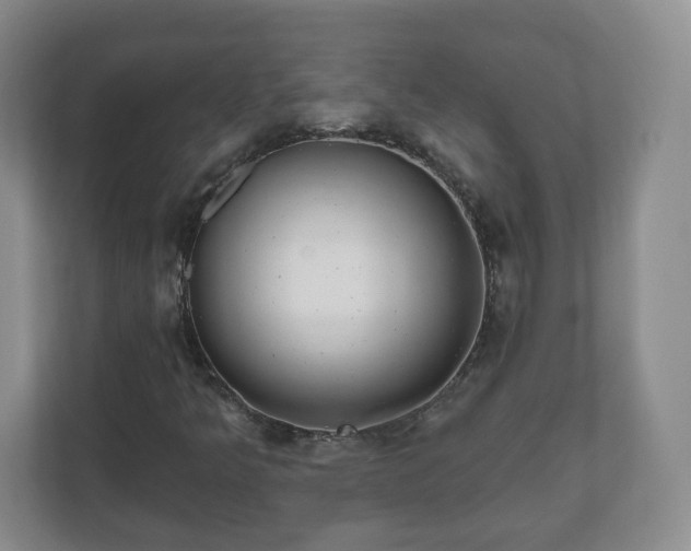 X0000111041349200907021550