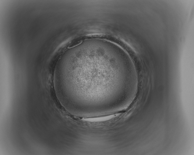 X0000111041351200907021550