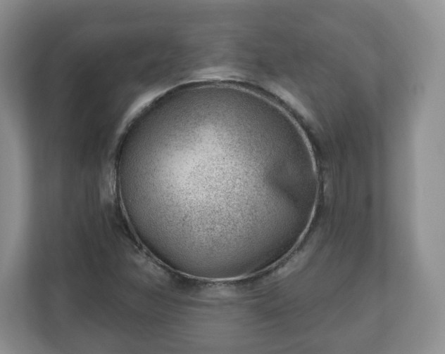 X0000111041358200907021550