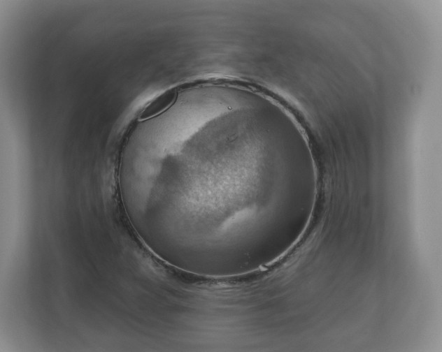 X0000111041359200907021550