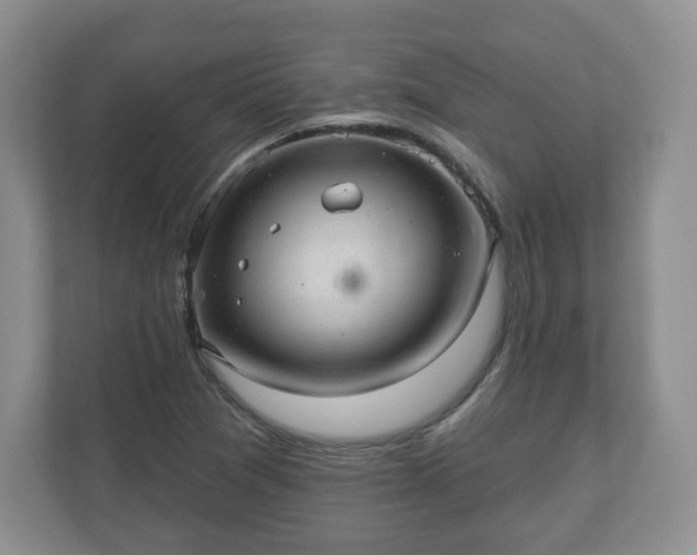 X0000111041361200907021550