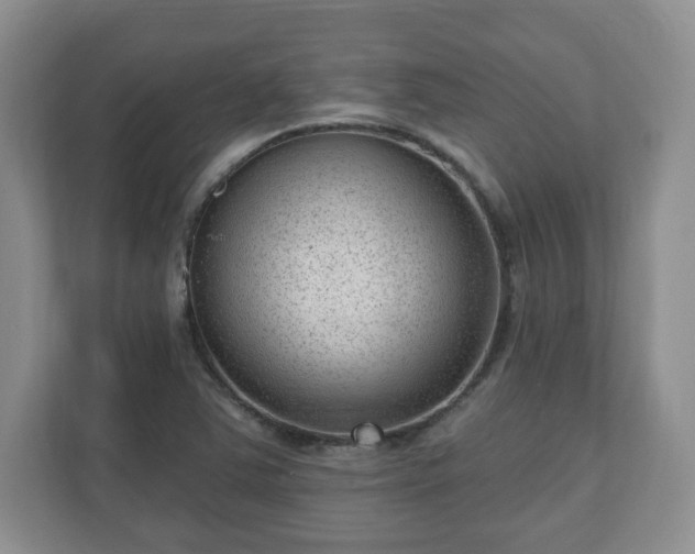 X0000111041363200907021550