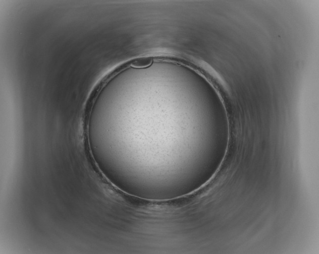 X0000111041364200907021550
