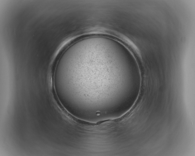 X0000111041368200907021550