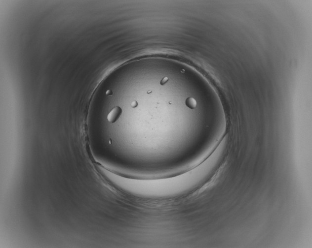 X0000111041369200907021550