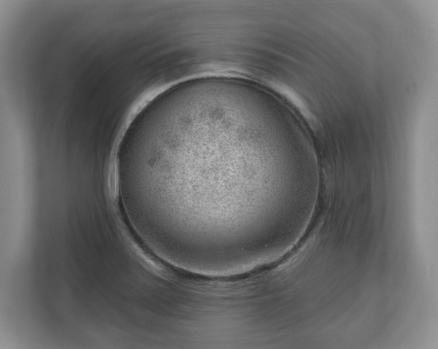 X0000111041371200907021550