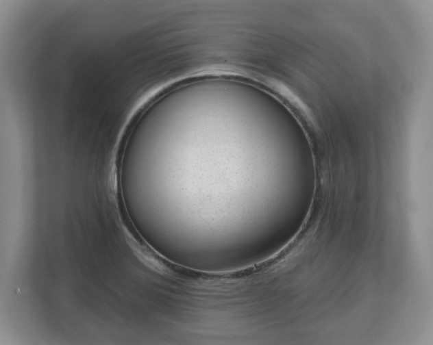 X0000111041372200907021550
