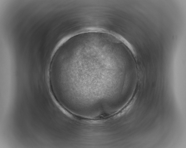 X0000111041381200907021549