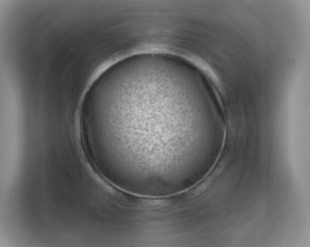 X0000111041382200907021549