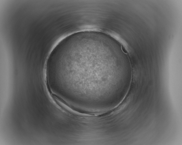 X0000111041383200907021549