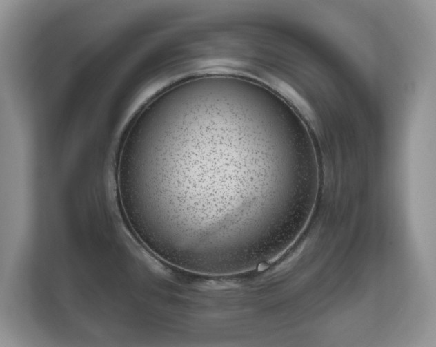 X0000111041384200907021549