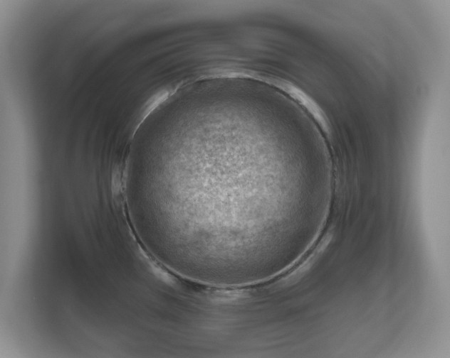 X0000111041385200907021549