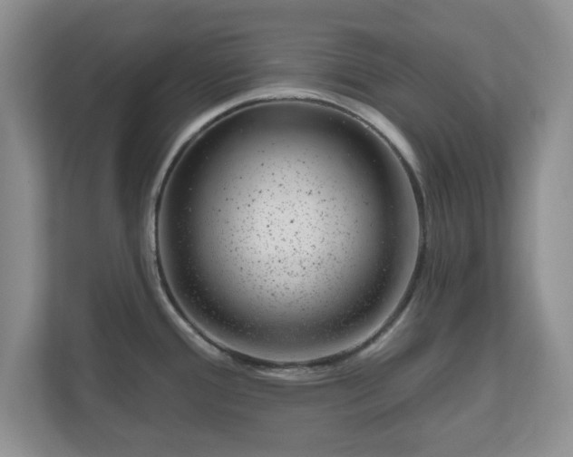 X0000111041388200907021549