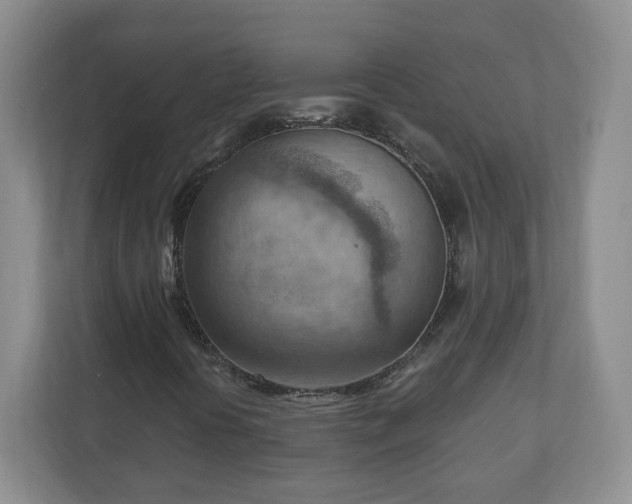 X0000111041394200907021549