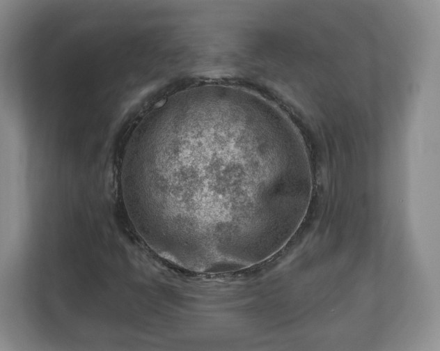 X0000111041398200907021549