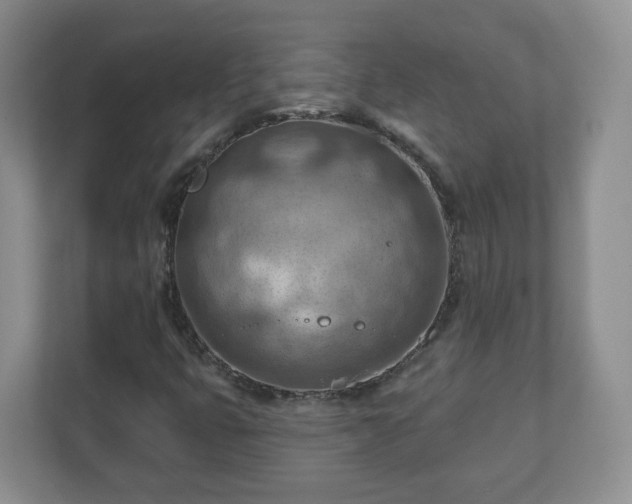 X0000111041399200907021549