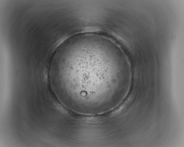 X0000111041401200907021549