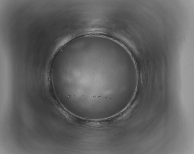X0000111041405200907021549