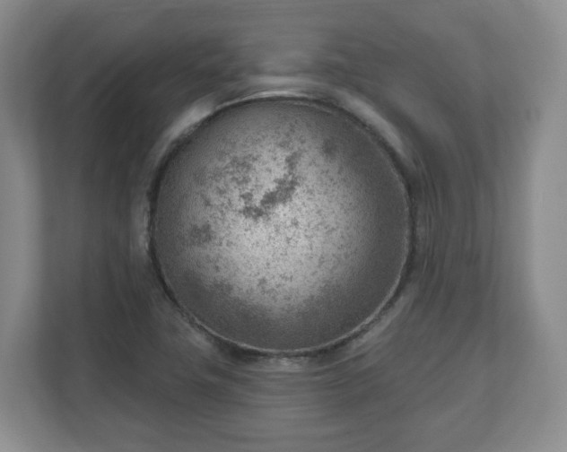 X0000111041411200907021549