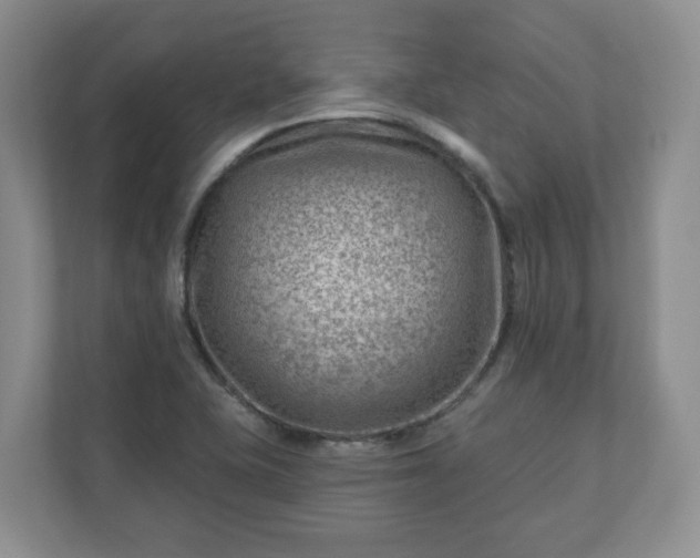 X0000111041415200907021549