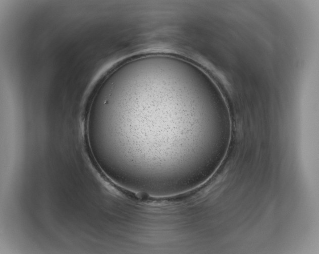 X0000111041416200907021549