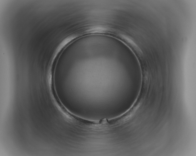 X0000111041418200907021549