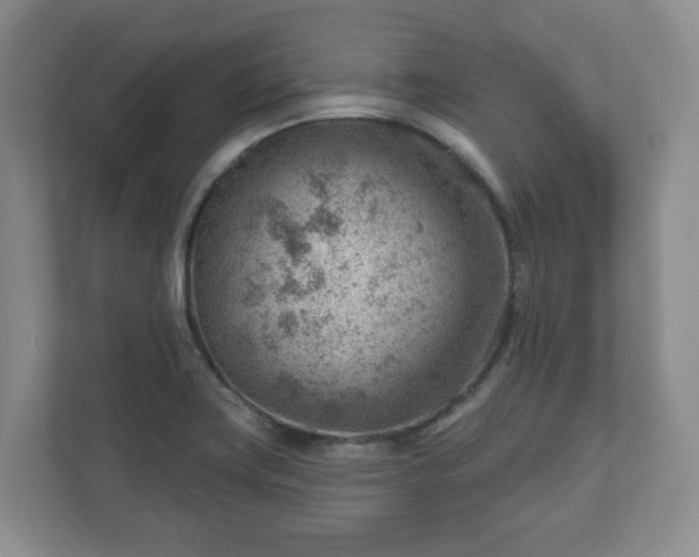 X0000111041419200907021549