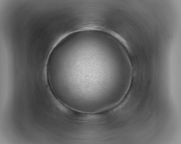 X0000111041423200907021549