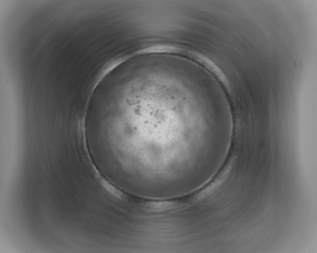 X0000111041425200907021549