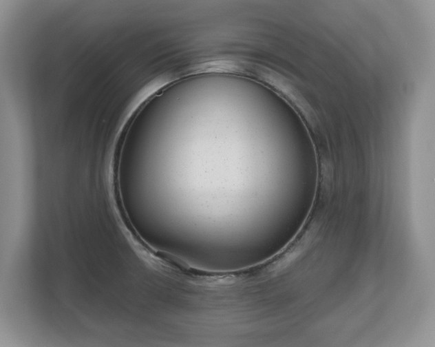 X0000111041426200907021549