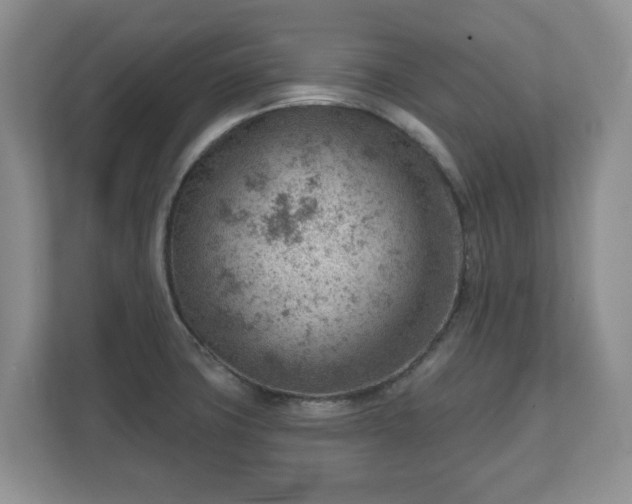 X0000111041427200907021549