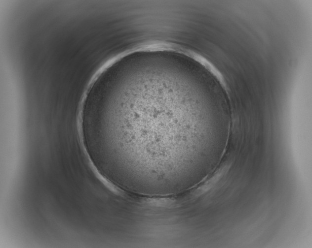 X0000111041429200907021549
